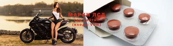 PSILOCYBIN Бикин