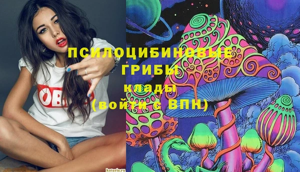 стаф Надым