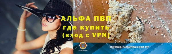 стаф Надым