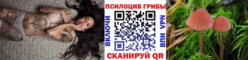 что такое наркотик блэк спрут ТОР Галлюциногенные грибы прущие грибы Тарко-Сале